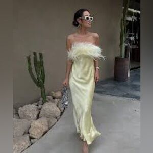 Zara bloggers favorite  Strapless Cream Feather Dress